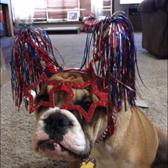 Meet your Posher, Mary - Picture 9 of 14